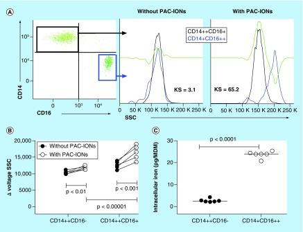 https://cdn.ncbi.nlm.nih.gov/pmc/blobs/5866/6900970/05602bef4b6b/fsoa-05-423-g9.jpg