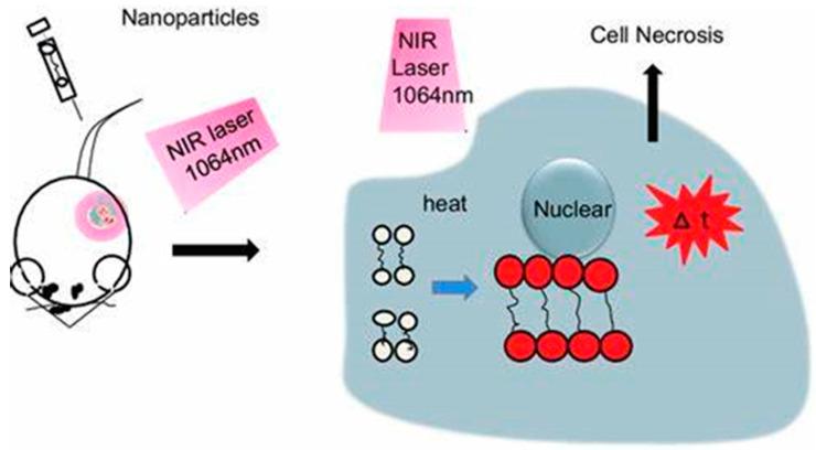 https://cdn.ncbi.nlm.nih.gov/pmc/blobs/5867/11510308/9f32c81d4021/pharmaceutics-16-01268-g004.jpg