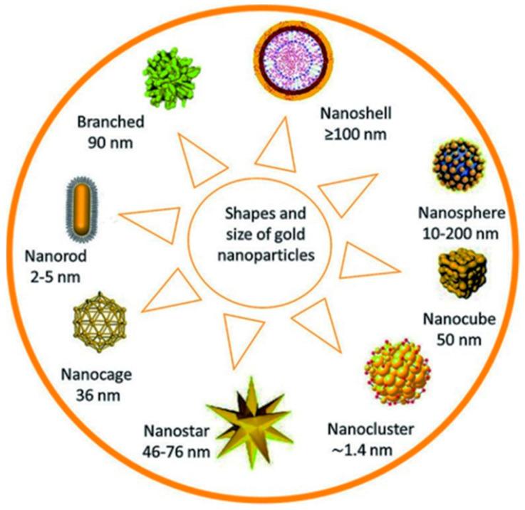 https://cdn.ncbi.nlm.nih.gov/pmc/blobs/5867/11510308/b6bcef9df3de/pharmaceutics-16-01268-g001.jpg