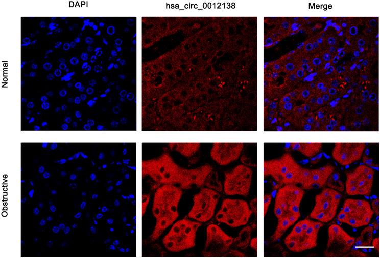 https://cdn.ncbi.nlm.nih.gov/pmc/blobs/5867/12211269/b6667bb5de0a/12882_2025_4232_Fig2_HTML.jpg