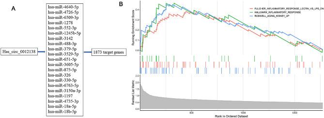 https://cdn.ncbi.nlm.nih.gov/pmc/blobs/5867/12211269/b90f0bbc83f6/12882_2025_4232_Fig3_HTML.jpg