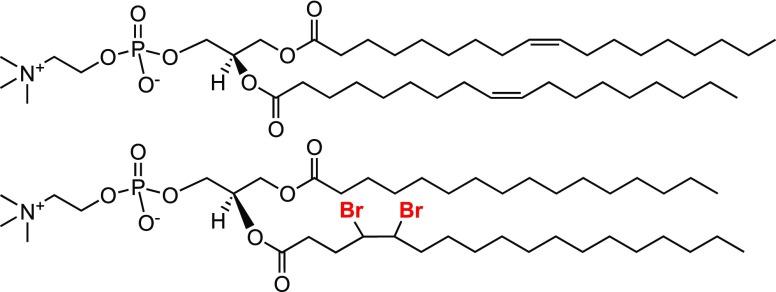 https://cdn.ncbi.nlm.nih.gov/pmc/blobs/5868/6331081/1fa6c685e117/jp-2018-09872g_0002.jpg