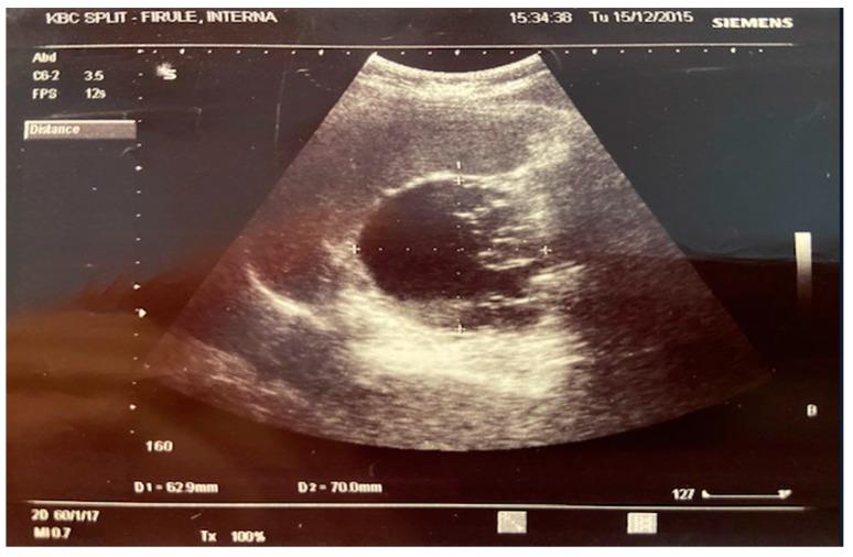 https://cdn.ncbi.nlm.nih.gov/pmc/blobs/5869/11989803/8d5140b99424/jcm-14-02164-g001.jpg