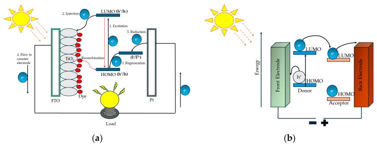 https://cdn.ncbi.nlm.nih.gov/pmc/blobs/586a/11360421/4c7257df4cda/polymers-16-02309-g001.jpg