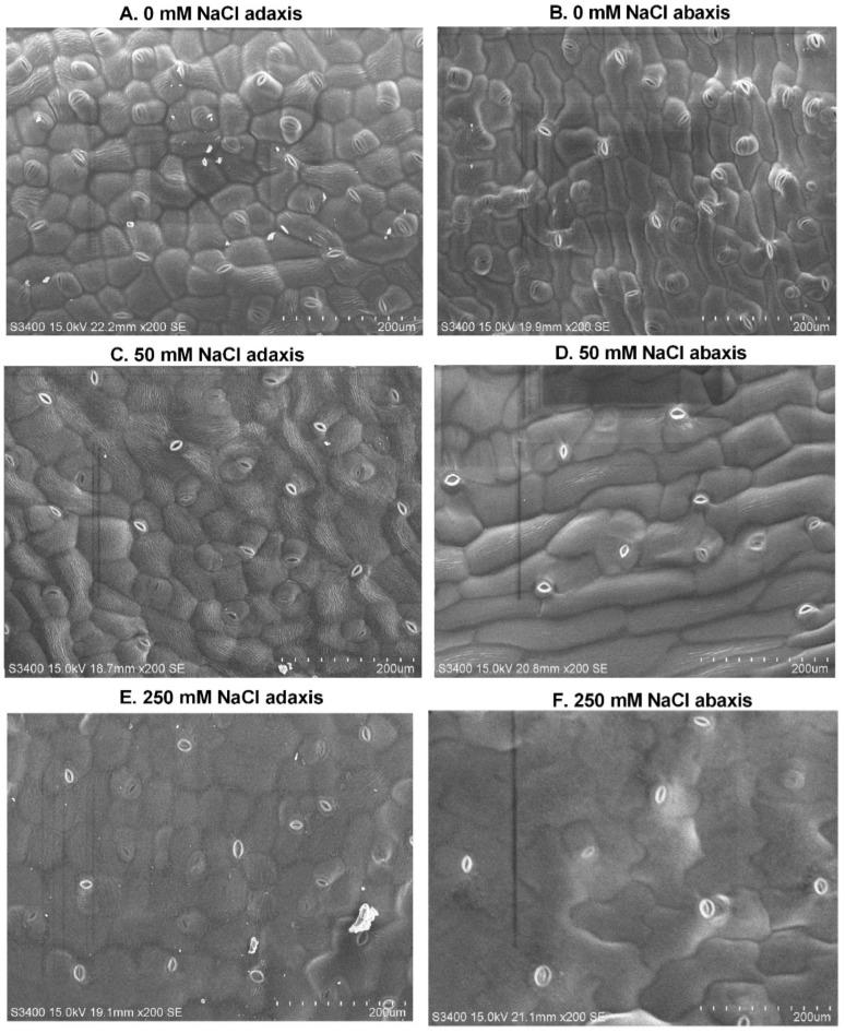 https://cdn.ncbi.nlm.nih.gov/pmc/blobs/586b/10530678/e6ab299844c3/ijms-24-13794-g001.jpg