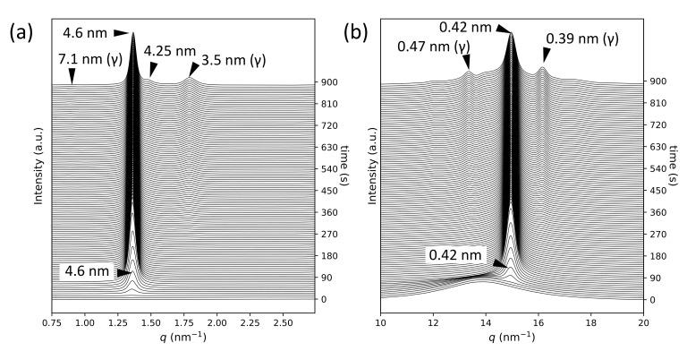 https://cdn.ncbi.nlm.nih.gov/pmc/blobs/586d/7794724/ffcde36aeedf/molecules-26-00220-g001.jpg