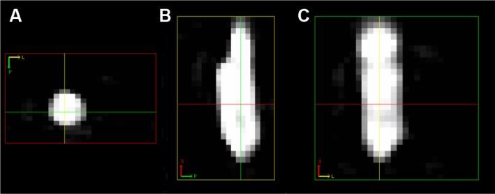 https://cdn.ncbi.nlm.nih.gov/pmc/blobs/586f/4411024/fac6c2c06cd8/ijn-10-3097Fig3.jpg