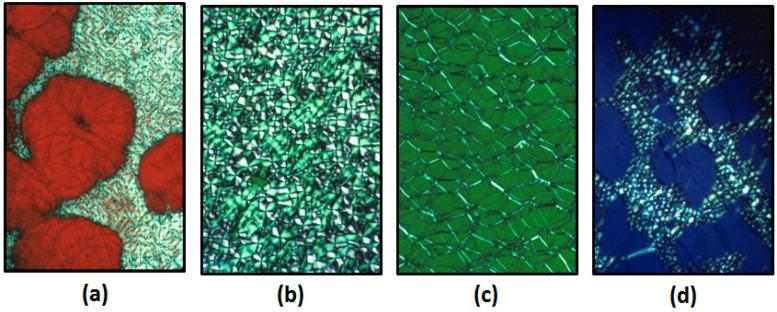 https://cdn.ncbi.nlm.nih.gov/pmc/blobs/586f/5458898/202d05bf503b/materials-08-05427-g006.jpg
