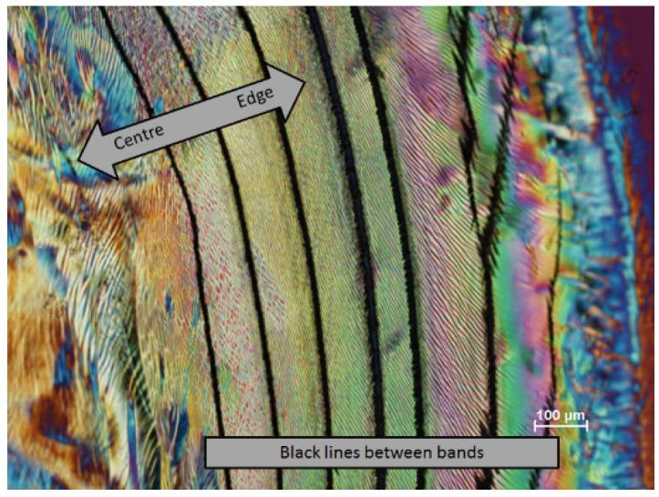 https://cdn.ncbi.nlm.nih.gov/pmc/blobs/586f/5458898/50a741b1f6b2/materials-08-05427-g015.jpg