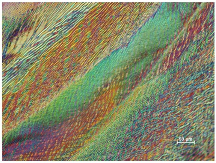 https://cdn.ncbi.nlm.nih.gov/pmc/blobs/586f/5458898/e1ae19af335f/materials-08-05427-g014.jpg