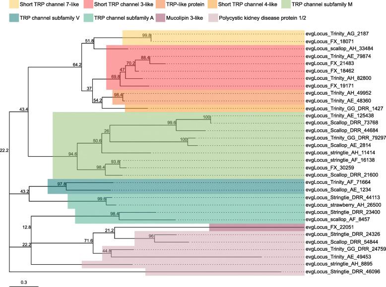 https://cdn.ncbi.nlm.nih.gov/pmc/blobs/586f/7789530/3424bfa3bb33/12864_2020_7287_Fig14_HTML.jpg