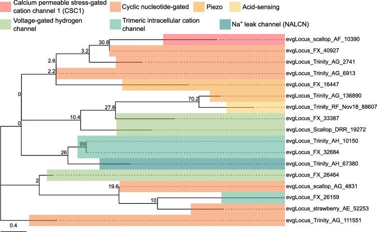 https://cdn.ncbi.nlm.nih.gov/pmc/blobs/586f/7789530/554de94041f6/12864_2020_7287_Fig13_HTML.jpg