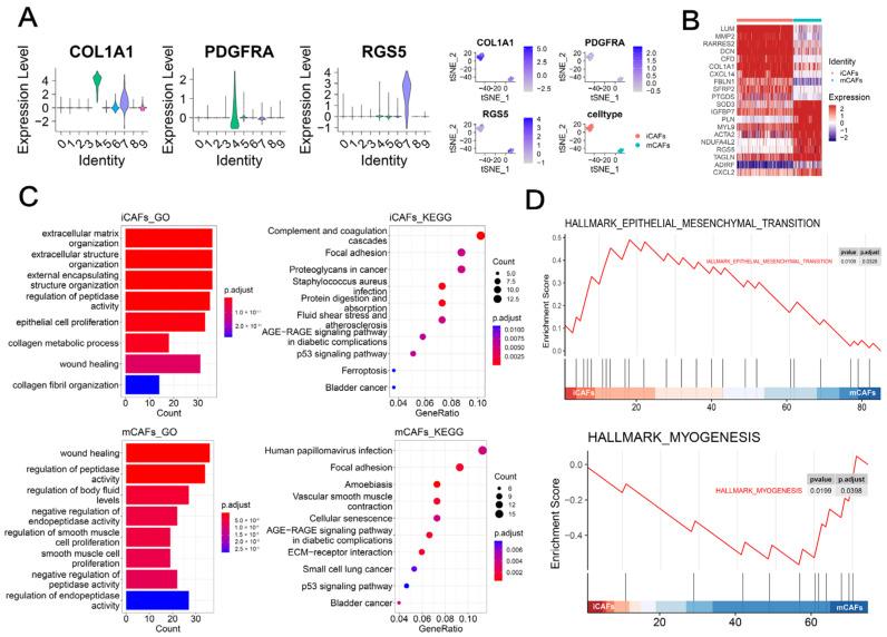 https://cdn.ncbi.nlm.nih.gov/pmc/blobs/586f/9781727/8056215ae08c/ijms-23-15970-g001.jpg