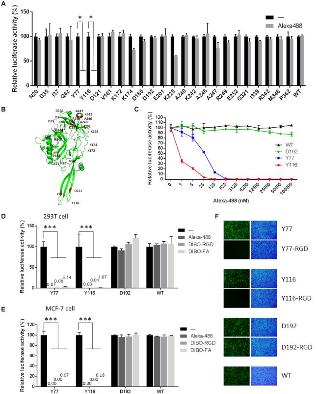 https://cdn.ncbi.nlm.nih.gov/pmc/blobs/5870/6821241/8a9c89a9d36b/gkz659fig1.jpg