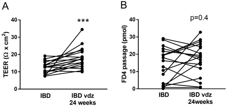 https://cdn.ncbi.nlm.nih.gov/pmc/blobs/5871/11172326/1f6754f96a56/ijms-25-05817-g006.jpg