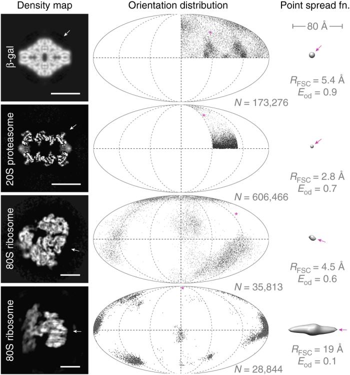 https://cdn.ncbi.nlm.nih.gov/pmc/blobs/5871/5607000/beed15283ef2/41467_2017_782_Fig2_HTML.jpg