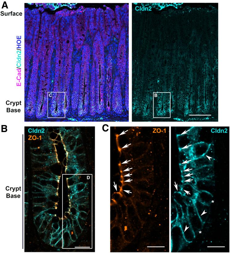 https://cdn.ncbi.nlm.nih.gov/pmc/blobs/5871/7847960/cc9341f970af/gr5.jpg
