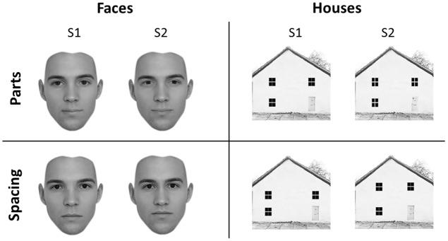 https://cdn.ncbi.nlm.nih.gov/pmc/blobs/5872/5346548/419341b62911/fpsyg-08-00333-g001.jpg