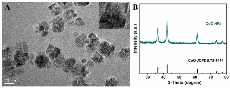 https://cdn.ncbi.nlm.nih.gov/pmc/blobs/5874/8878353/0c823d9b61a6/nanomaterials-12-00638-g001.jpg