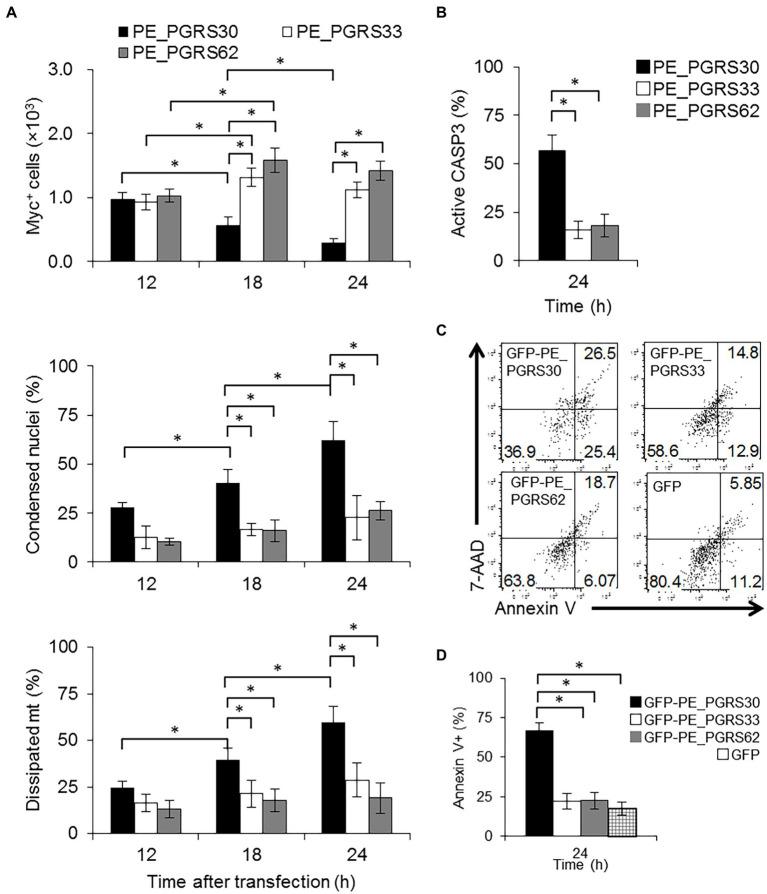 https://cdn.ncbi.nlm.nih.gov/pmc/blobs/5874/9911437/76bfb3387612/fmicb-14-1080369-g001.jpg