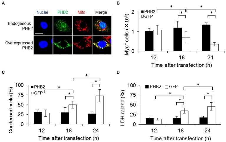 https://cdn.ncbi.nlm.nih.gov/pmc/blobs/5874/9911437/a03482fb0751/fmicb-14-1080369-g003.jpg