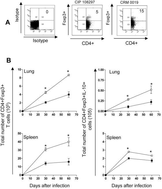 https://cdn.ncbi.nlm.nih.gov/pmc/blobs/5877/3171484/c34c6eaa99f3/pone.0024726.g006.jpg
