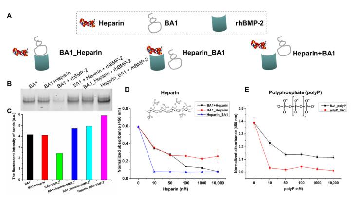 https://cdn.ncbi.nlm.nih.gov/pmc/blobs/5878/10974264/80e95412ca8a/molecules-29-01243-g003.jpg