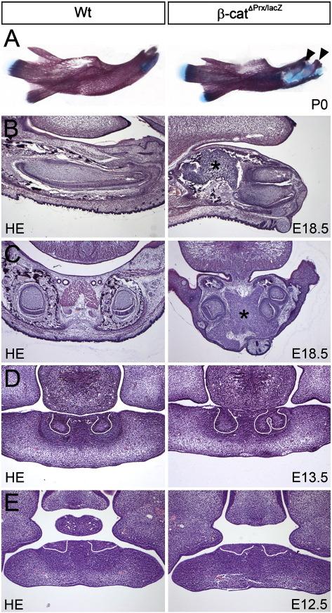 https://cdn.ncbi.nlm.nih.gov/pmc/blobs/5879/2997430/7047ac0c7f9f/gr1.jpg