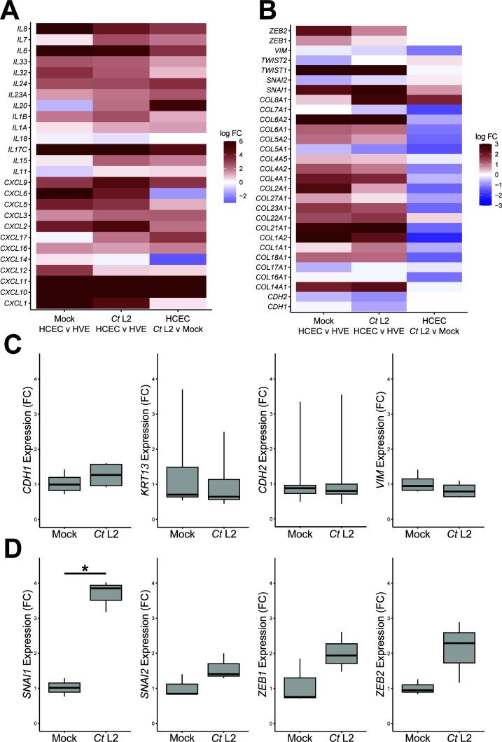 https://cdn.ncbi.nlm.nih.gov/pmc/blobs/587b/10734534/344ab35d4086/msystems.00904-23.f002.jpg