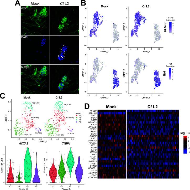 https://cdn.ncbi.nlm.nih.gov/pmc/blobs/587b/10734534/54a3088c68bb/msystems.00904-23.f004.jpg