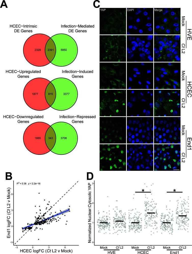 https://cdn.ncbi.nlm.nih.gov/pmc/blobs/587b/10734534/5bcbf68159ab/msystems.00904-23.f003.jpg