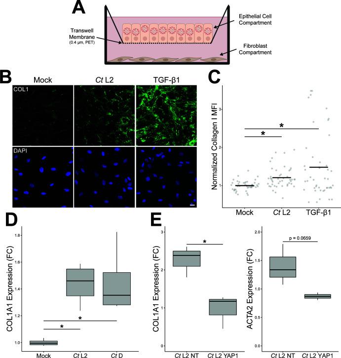 https://cdn.ncbi.nlm.nih.gov/pmc/blobs/587b/10734534/7df5186f0c5a/msystems.00904-23.f005.jpg