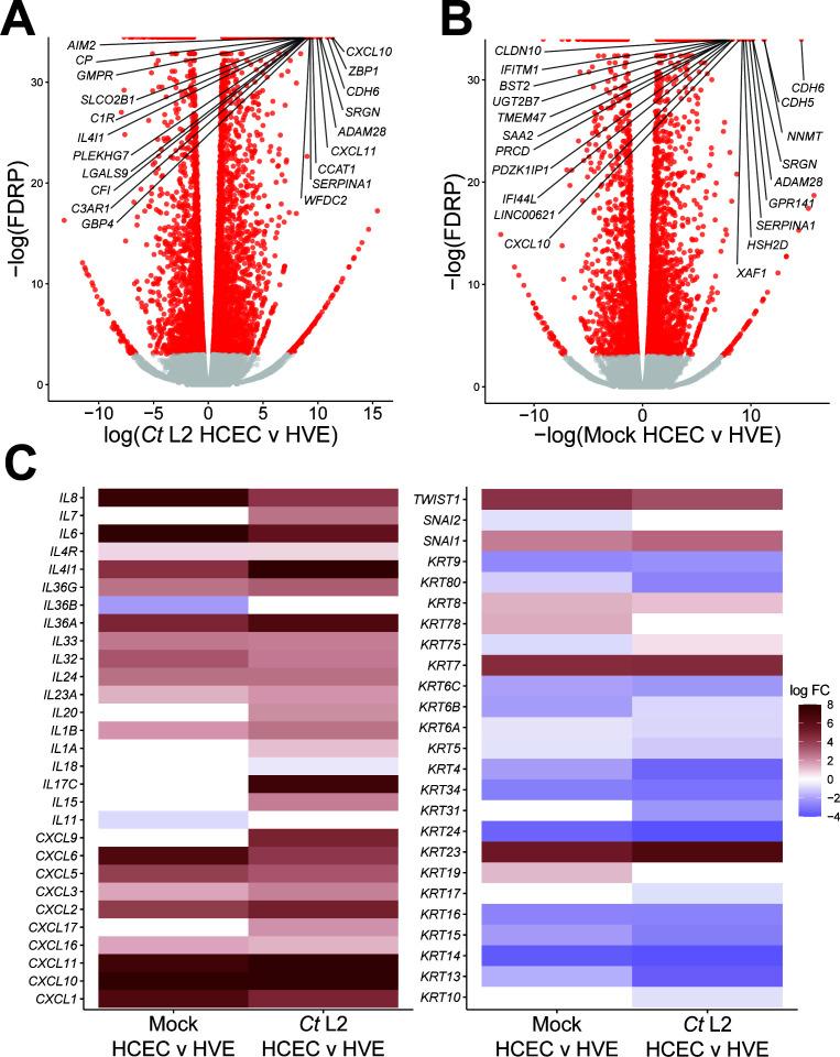 https://cdn.ncbi.nlm.nih.gov/pmc/blobs/587b/10734534/80339fbc07b4/msystems.00904-23.f001.jpg