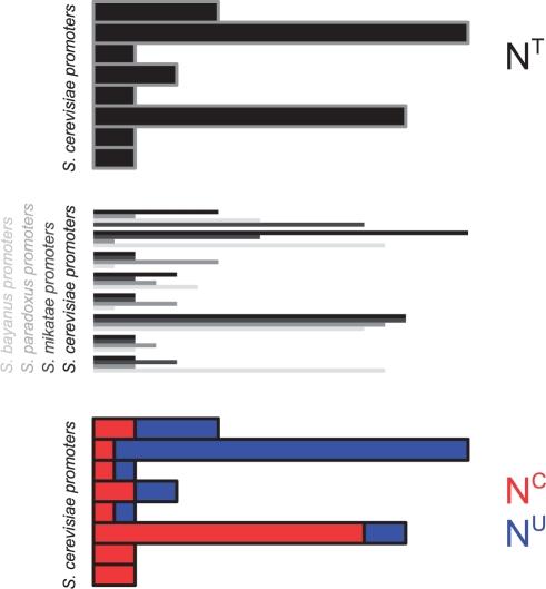 https://cdn.ncbi.nlm.nih.gov/pmc/blobs/587b/2718632/5a7350440908/btn154f2.jpg