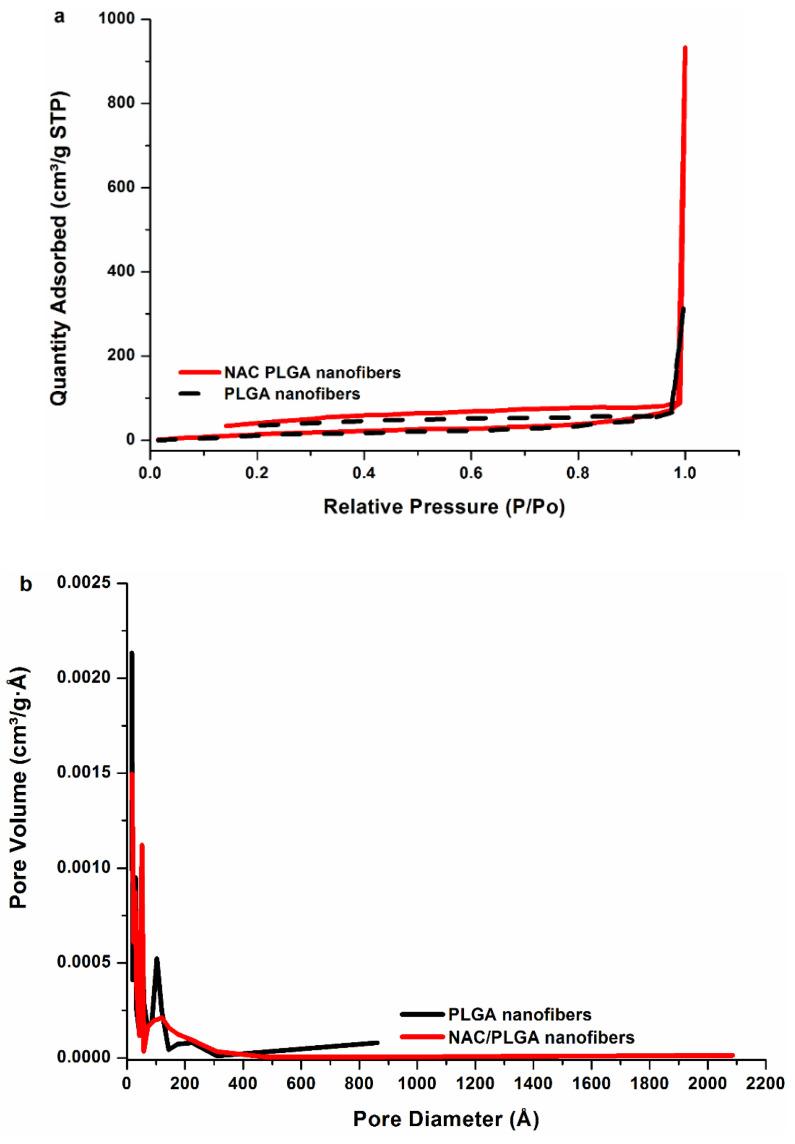 https://cdn.ncbi.nlm.nih.gov/pmc/blobs/587b/7601117/14ae847d8b7a/pharmaceutics-12-00934-g005.jpg