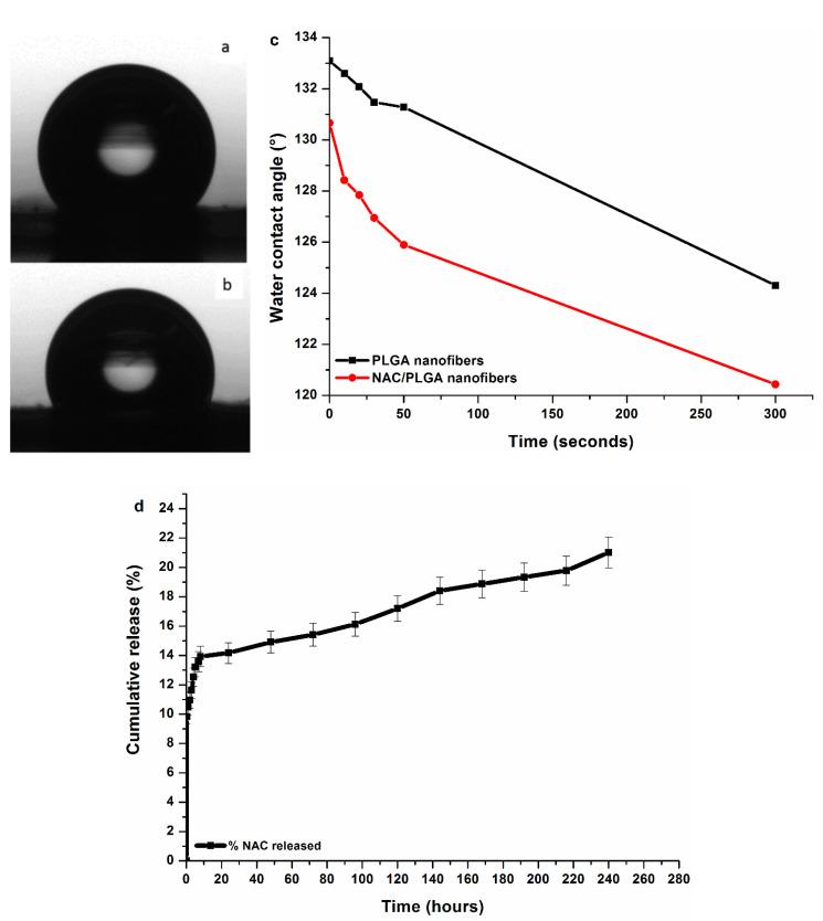 https://cdn.ncbi.nlm.nih.gov/pmc/blobs/587b/7601117/b3a7d9064200/pharmaceutics-12-00934-g007.jpg
