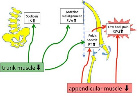 https://cdn.ncbi.nlm.nih.gov/pmc/blobs/5880/5356321/a123feaa371b/13013_2017_116_Fig5_HTML.jpg