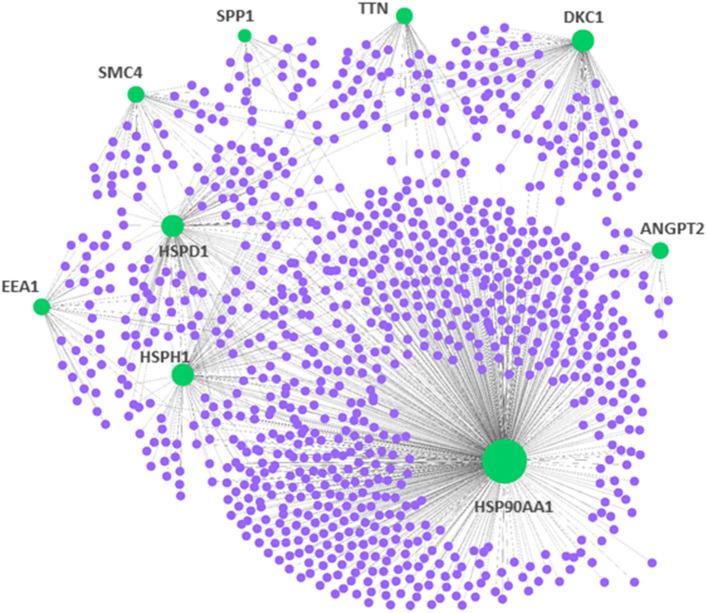 https://cdn.ncbi.nlm.nih.gov/pmc/blobs/5880/8346036/098facef4dd5/fphys-12-694702-g0002.jpg