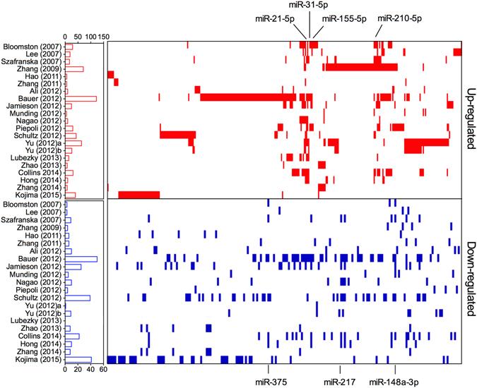 https://cdn.ncbi.nlm.nih.gov/pmc/blobs/5882/5431820/4818d453114d/41598_2017_1904_Fig1_HTML.jpg