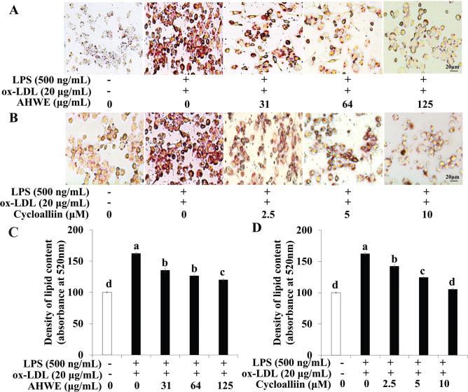https://cdn.ncbi.nlm.nih.gov/pmc/blobs/5887/12138981/21fe88b7b7ca/FNR-69-10763-g002.jpg