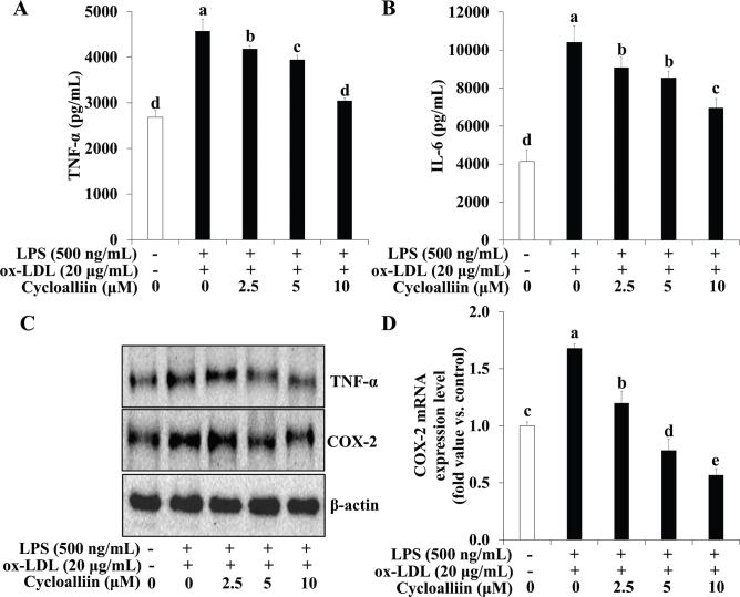 https://cdn.ncbi.nlm.nih.gov/pmc/blobs/5887/12138981/798e917c4241/FNR-69-10763-g008.jpg