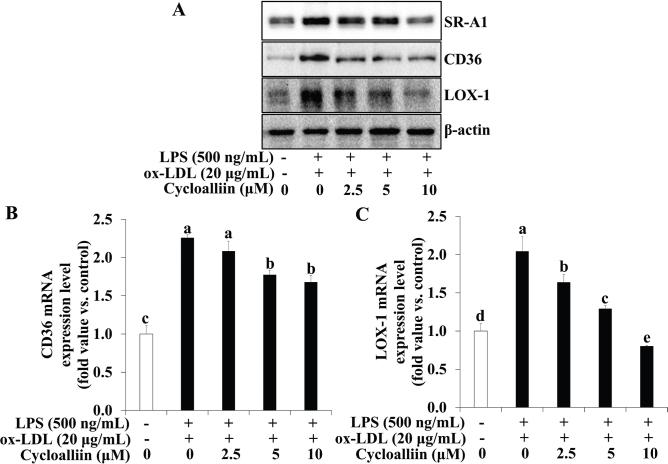 https://cdn.ncbi.nlm.nih.gov/pmc/blobs/5887/12138981/7dab95d23306/FNR-69-10763-g004.jpg