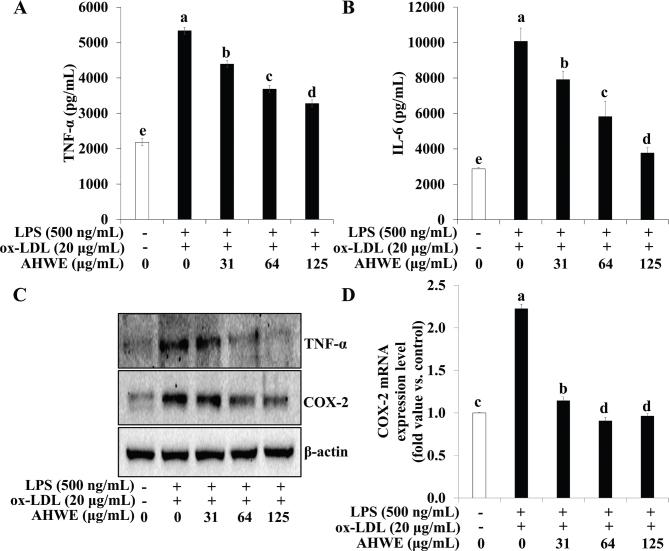 https://cdn.ncbi.nlm.nih.gov/pmc/blobs/5887/12138981/b72deb2286dc/FNR-69-10763-g007.jpg