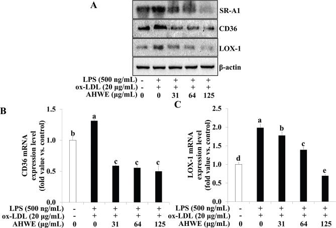 https://cdn.ncbi.nlm.nih.gov/pmc/blobs/5887/12138981/ea9f4d6fa944/FNR-69-10763-g003.jpg