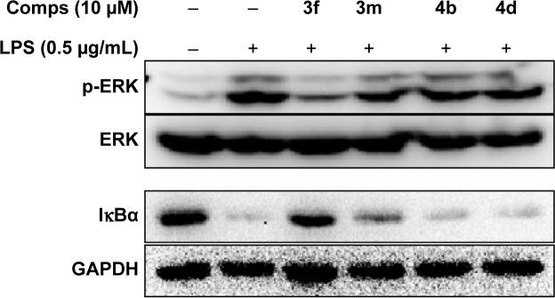 https://cdn.ncbi.nlm.nih.gov/pmc/blobs/5887/4370917/f20f09d94683/dddt-9-1663Fig7.jpg