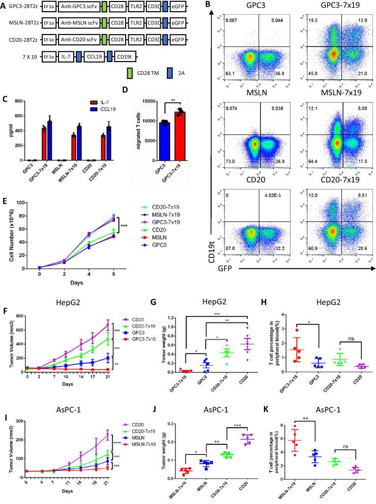https://cdn.ncbi.nlm.nih.gov/pmc/blobs/5887/8323212/a0069c6218ee/13045_2021_1128_Fig1_HTML.jpg