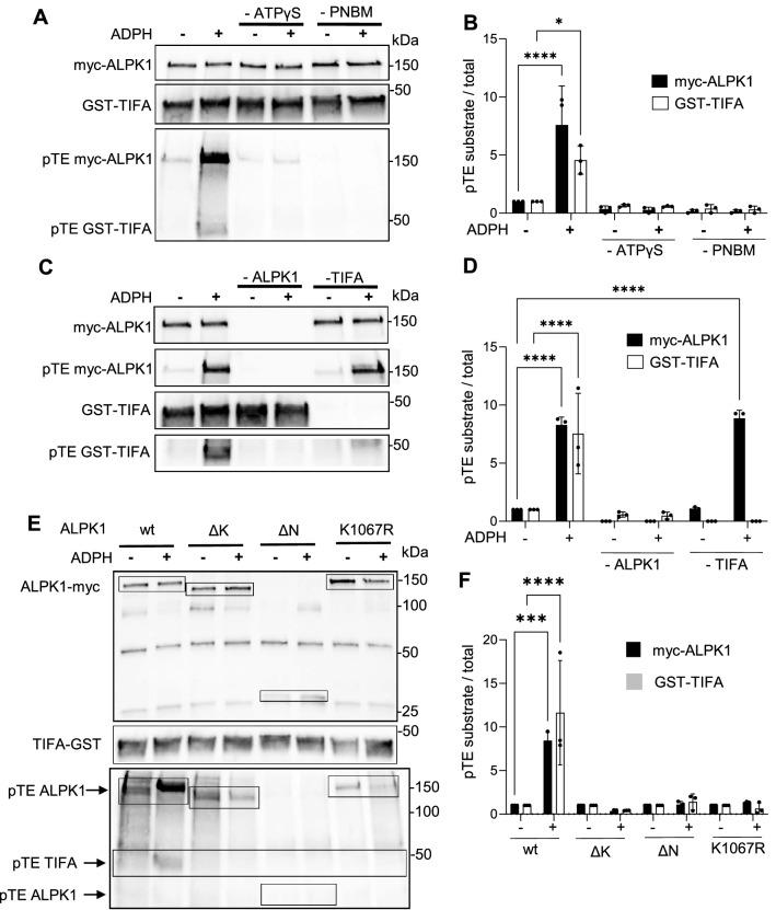 https://cdn.ncbi.nlm.nih.gov/pmc/blobs/5888/10113258/a0af857432d3/41598_2023_33459_Fig2_HTML.jpg