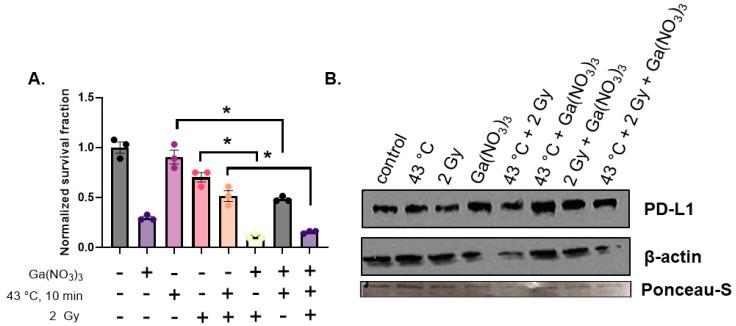 https://cdn.ncbi.nlm.nih.gov/pmc/blobs/5889/11592209/bd6f273b0177/cancers-16-03736-g004.jpg