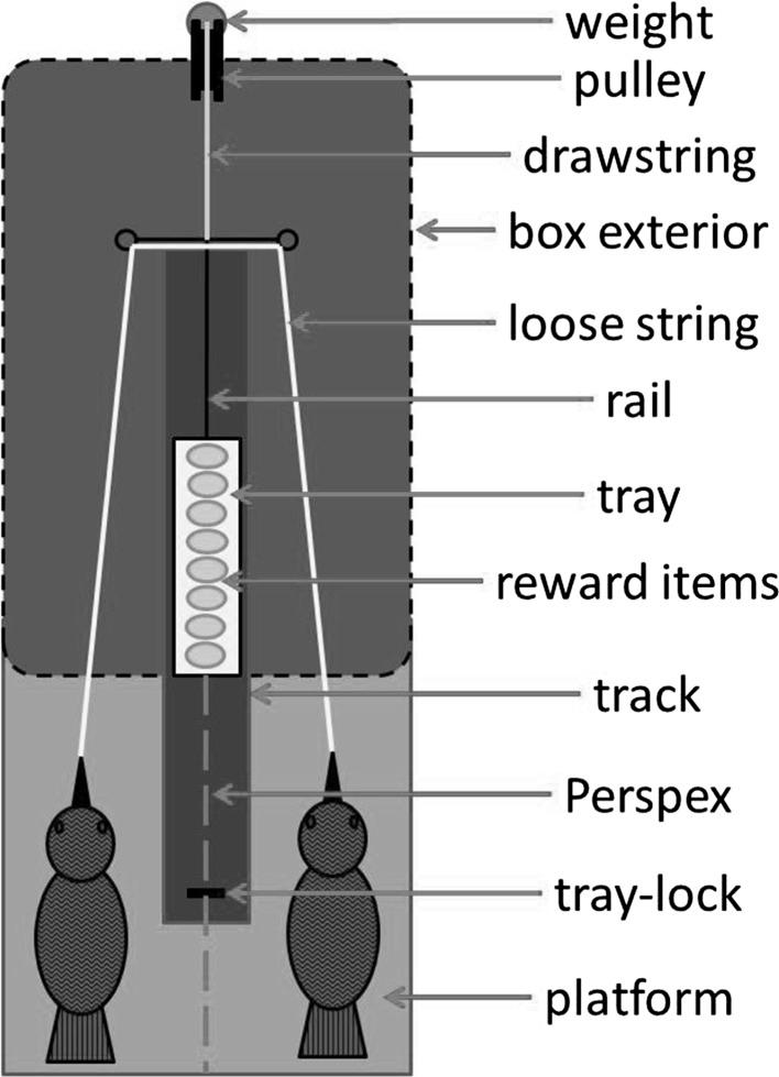 https://cdn.ncbi.nlm.nih.gov/pmc/blobs/5889/5054053/a649fa1cc4be/10071_2016_1017_Fig1_HTML.jpg