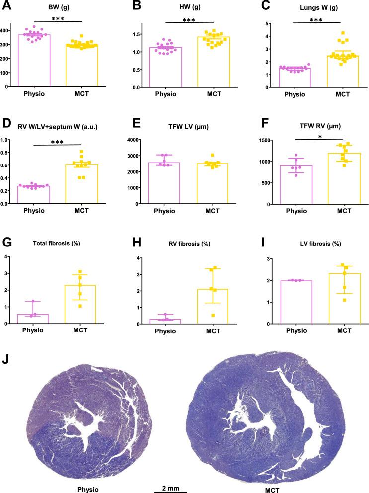https://cdn.ncbi.nlm.nih.gov/pmc/blobs/588c/12256005/579fb26a18e2/12967_2025_6792_Fig1_HTML.jpg